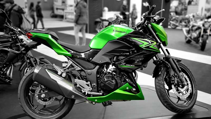 Modelo Kawasaki ninja 300