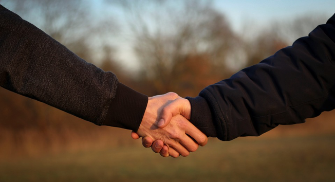 dos brazos estrechándose la mano